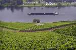 Die Mosel von Marienburg aus gesehen. Aufnahme: Juli 2007.