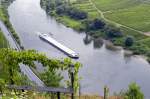 Aussicht auf die Mosel bei Bremm.