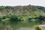 Schiefersteinfelsen und Weinanbau am Moselufer bei Kobern-Gondorf (Kreis Mayen - Koblenz) - 11.09.2016