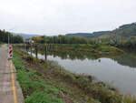 Mosel bei Detzem, Lkr. Trier-Saarburg (10.10.2025)