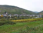 Moseltal bei Merl, Lkr. Cochem-Zell (11.10.2025)