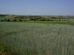 Aussicht auf Biedesheim, Donnersbergkreis (08.06.2014)