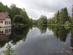 Sägmühlweiher in Ludwigswinkel im Dahner Felsenwald (10.10.2020)