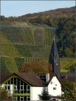 Entlang der Saar wird berall Wein angebaut und die Weinberge bieten eine schne Kulisse fr die malerischen Drfer. 19.10.08 (Jeanny)