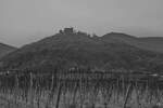 Blick auf den 379,2 Meter hohen Schlossberg mit dem Hambacher Schloss. (Dezember 2014)