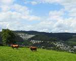 AN DER GRENZE ZWISCHEN WESTERWALD UND SIEGERLAND  Hoch über dem HELLERTAL geht der Blick über die grasenden Rinder auf den östlichen Teil der Stadt HERDORF mit der Sandhalde,wo zu