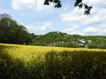 SIEGTAL-LANDSCHAFT ZWISCHEN WESTERWALD UND SIEGERLAND
Hier im Siegtal zwischen SIEGEN und BETZDORF gehen die Höhenzüge des WESTERWALDES
in die des SIEGERLANDES über...Vom Bergrücken grüßt die Höhenburg FREUSBURG,
heute eine beliebte Jugendherberge...am 21.5.2019