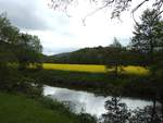 AN DER SIEG BEI FREUSBURG/KREIS AK  Von Siegen und damit aus NRW kommend durchquert die SIEG eine Zeitlang den  Landkreis ALTENKIRCHEN/RP,ehe sie im Unterlauf wieder bis zur Mündung in den  RHEIN