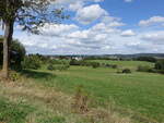 Wiesen bei Alpenrod im Westerwald (02.09.2026)