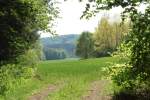 Sonniger Nachmittag im Wald bei Nunkirchen im Saarland.