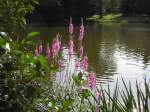 Im Hintergrund ist der Weiher des Deutsch-Franzsichen-Garten in Saarbrcken zu sehen.