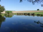 Teich bei Niederfrohna, Lkr. Zwickau (16.09.2023)