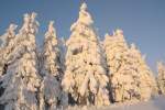 Winterzauber auf dem Fichtelberg.