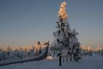 Winterzauber auf dem Fichtelberg am 22.01.10.