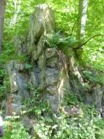 Grn berwachsener Felsen im Rabenauer Grund am 17.6.10