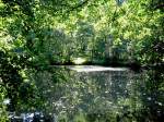 Ein kleiner malerischer gelegener Teich befindet sich in der Nhe des Burkhardtsdorfer Abtwaldes, 05.08..07