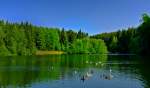 Schnheider Stausee/Erzgebirge
22.05.2012