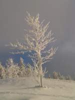 Hier ein paar Eindrcke vom Fichtelberg, am 12.01.13 bei -12 Grad.