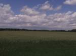 Blick in die Landschaft zwischen Oschatz und Mügeln am 09.06.2012