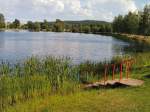 Teichlandschaft bei Schlegel im Sommer 2004