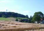 Blick zum Hohen Berg, Sommer 2005