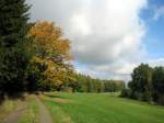der Herbst steht auf der Leiter