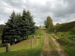 lang ist der weg von Wingendorf nach Gottleuba