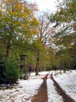 im Harthewald