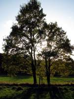Ehepaar Baum
