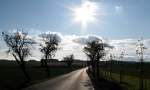 der Sonne entgegen 