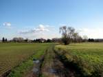 Blick auf Krebs