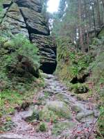 Hier ein paar Bilder unserer herrlichen Wanderung durch meine Felsenheimat, eine der schnsten und beeindruckensten Landschaften Deutschlands. Hier geht es die Spitzwegrichte, oberhalb der Neumannmhle im Kirnitzschtal,in Richtung Knorre bergauf. 10.11.2012 