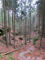 Geschafft. Hier die Knorre von oben. 10.11.2012