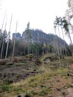 Unterhalb der Brenfangwnde. Davor ist schn die Kernzone (Naturschutzgebiet) zu sehen. 10.11.2012