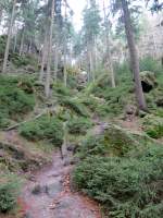 Aufstieg zu den Brenfangwnden. Dieser ist sehr beschwerlich und steil aber ein echtes Erlebnis. Da dies zur Kernzone gehrt, soll der Weg zuwachsen und wird nicht mehr gepflegt. 10.11.2012