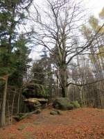 Am Rosteig, Kreuzung Katzenstein. 10.11.2012