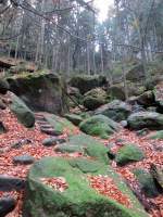 Abstieg Heringsloch in Richtung Felsenmhle. 10.11.2012