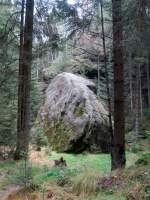 Am Wegesrand des Quenenweges. 10.11.2012