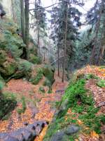 Noch einen Blick auf den Aufstieg zu den Brenfangwnden. 10.11.2012