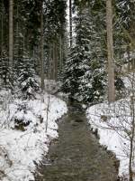 Der pltschernde Krippenbach 20.01.2013