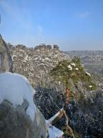 Ungewhnliche Wuchsform. Felsenburg Neurathen. 26.01.2013