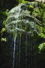 Amselfall in der Sächsischen Schweiz. Aufnahme: Juni 2014.