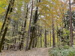 Wanderweg zur Bastei (Felsformation in einem Nationalpark) in Lohmen am 23. Oktober 2021.