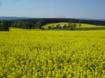 blhende Rapsfelder im Vogtland bei Markneukirchen,  Mai 2007