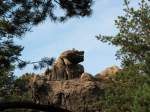 Mit etwas Phantasie kann man in etlichen Felsgebilden im Zittauer Gebirge Tierfiguren erkennen; hier der Bernhardiner - Mhlsteinbrche bei Jonsdorf, 14.08.2007  