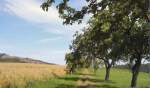 Landschaft bei Hrnitz, Zittauer Gebirge 2004