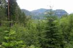 Blick zum Berg Oybin -  Zittauer Gebirge - 2004