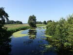 Fluss Biese bei Biesenthal, Landkreis Stendal (13.08.2025)