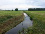 Salzwedeler Dumme bei Siedendolsleben, Altmarkkreis Salzwedel (20.06.2026)