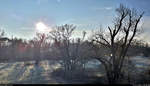 Wintermorgenstimmung an der Herrenkrugbrücke in Magdeburg.